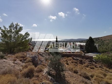 Οικόπεδο 2.395 τ.μ. για πώληση