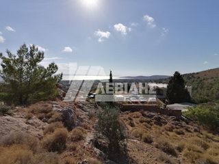 Οικόπεδο 2.638 τ.μ. για πώληση
