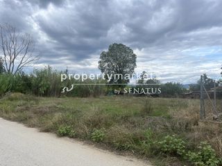 Οικόπεδο 1.160 τ.μ. για πώληση, Ν. Καβάλας, Χρυσούπολη-thumb-2