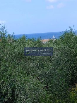 Οικόπεδο 4.000τ.μ. για πώληση-Αρκάδι » Σφακάκι