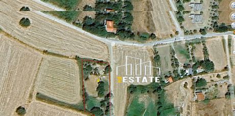 Αγροτεμάχια 1.985τ.μ. για πώληση-Σαμοθράκη » Καμαριώτισσα