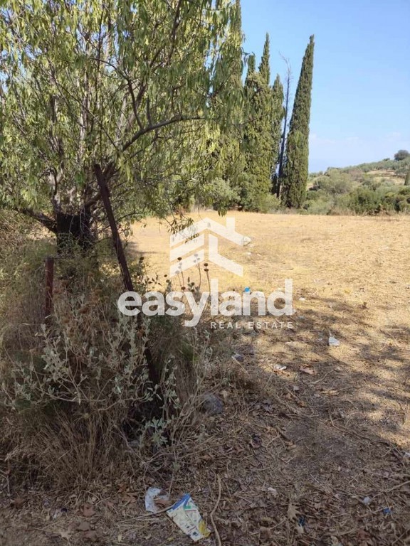 Οικόπεδο 2.500 τ.μ. προς πώληση, Αχαΐα, Μεσσατίδα