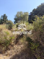 Οικόπεδο 2.500 τ.μ. για πώληση, Αχαΐα, Μεσσατίδα-thumb-5