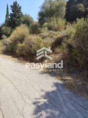 Οικόπεδο 2.500 τ.μ. για πώληση, Αχαΐα, Μεσσατίδα-thumb-6