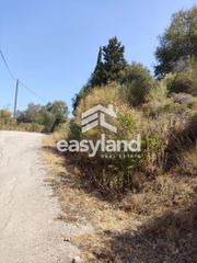 Οικόπεδο 2.500 τ.μ. για πώληση, Αχαΐα, Μεσσατίδα-thumb-8