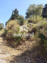 Οικόπεδο 2.500 τ.μ. για πώληση, Αχαΐα, Μεσσατίδα-thumb-7