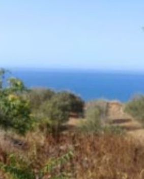 Οικόπεδο 9.200τ.μ. για πώληση-Σύρος » Ποσειδωνία