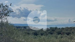 Αγροτεμάχια 7.000 τ.μ. για πώληση