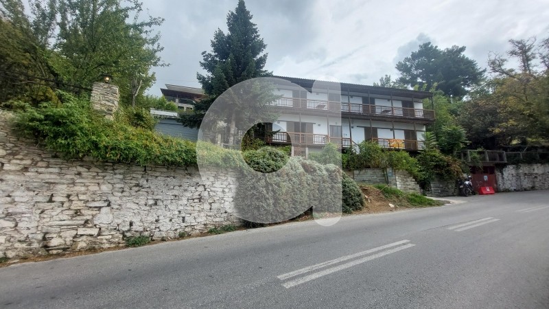 Ξενοδοχείο 360 τ.μ. πρός πώληση, Μαγνησία, Πορταριά