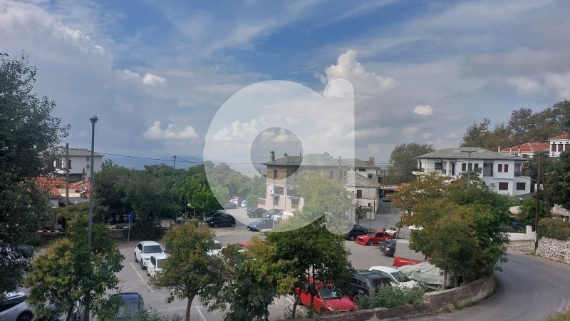 Ξενοδοχείο 360 τ.μ. πρός πώληση, Μαγνησία, Πορταριά