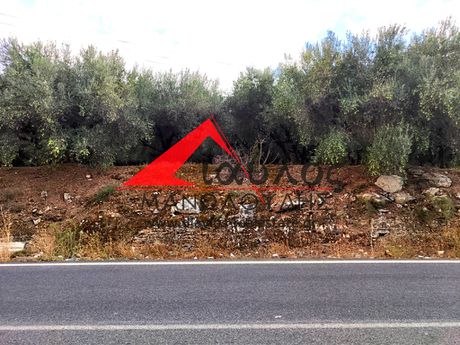 Οικόπεδο 13.000τ.μ. για πώληση-Γεροπόταμος » Πέραμα