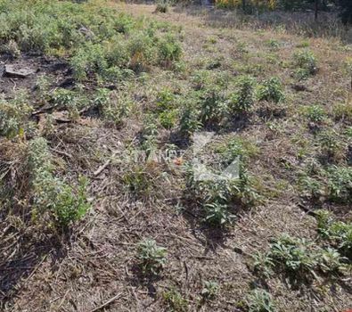 Parcel 300sqm for sale-Kallikrateia » Nea Irakleia
