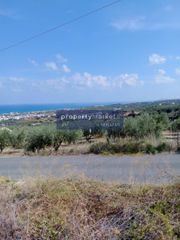 Αγροτεμάχια 1.614 τ.μ. για πώληση, Ν. Ρεθύμνου, Ρέθυμνο-thumb-2