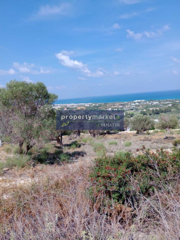 Αγροτεμάχια 1.614 τ.μ. πρός πώληση, Ν. Ρεθύμνου, Ρέθυμνο