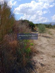 Αγροτεμάχια 1.614 τ.μ. για πώληση, Ν. Ρεθύμνου, Ρέθυμνο-thumb-5