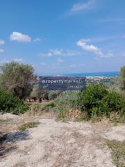 Αγροτεμάχια 1.614 τ.μ. για πώληση, Ν. Ρεθύμνου, Ρέθυμνο-thumb-6