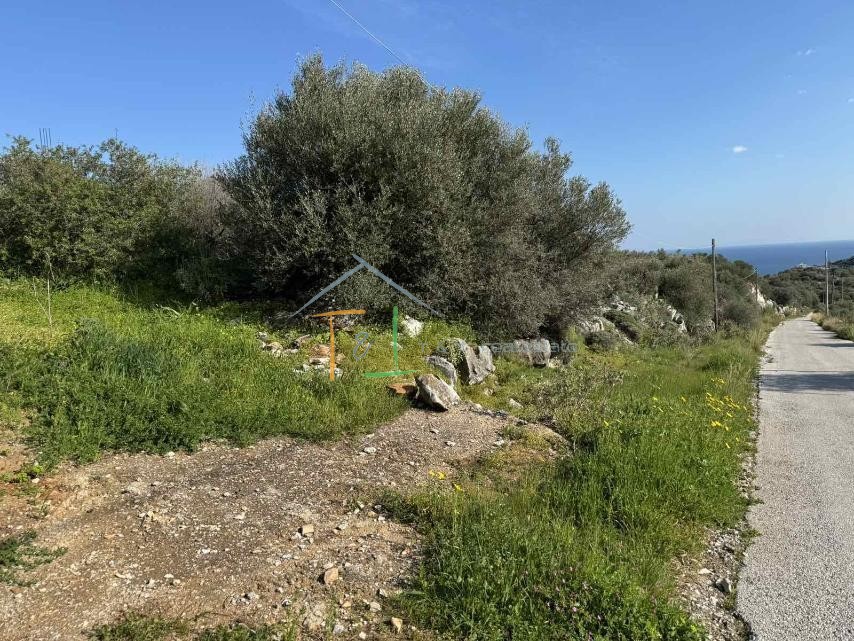 Οικόπεδο 1.026 τ.μ. πρός πώληση, Αθήνα - Ανατολικά Προάστια, Μαραθώνας