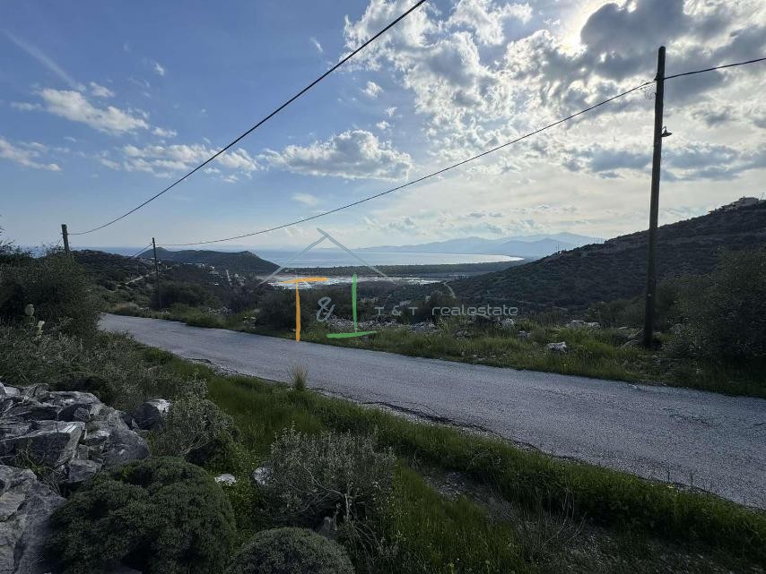 Οικόπεδο 1.026 τ.μ. πρός πώληση, Αθήνα - Ανατολικά Προάστια, Μαραθώνας