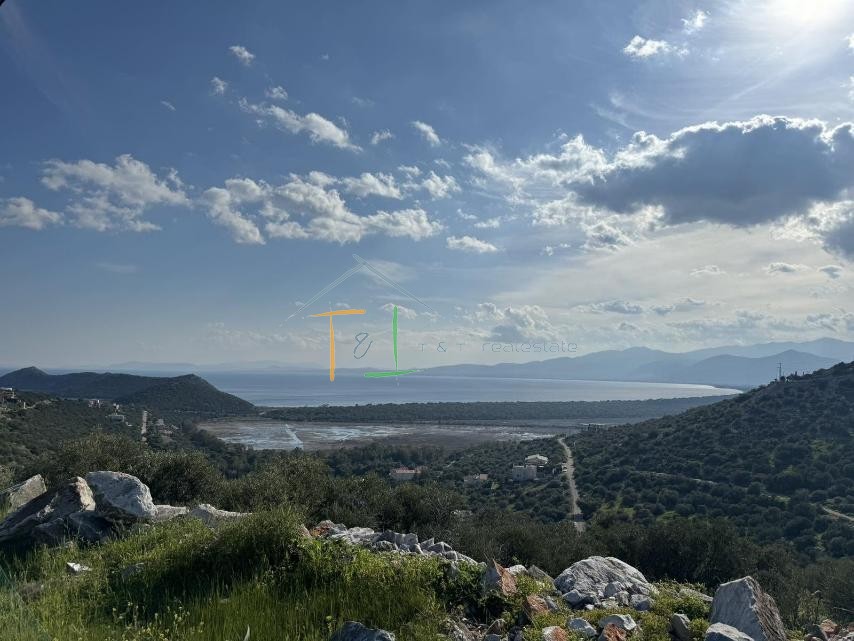 Οικόπεδο 1.026 τ.μ. πρός πώληση, Αθήνα - Ανατολικά Προάστια, Μαραθώνας