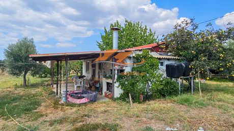 Μονοκατοικία 45τ.μ. για πώληση-Αλεξανδρούπολη » Δίκελλα