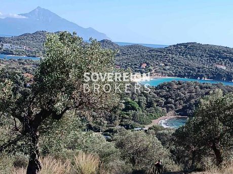 Αγροτεμάχια 1.680τ.μ. για πώληση-Σταγείρων - ακάνθου » Αμολιανη