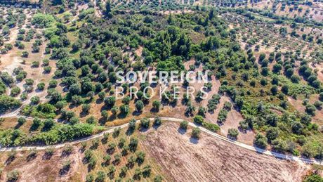 Αγροτεμάχια 7.893τ.μ. για πώληση-Κασσάνδρα » Κασσάνδρεια