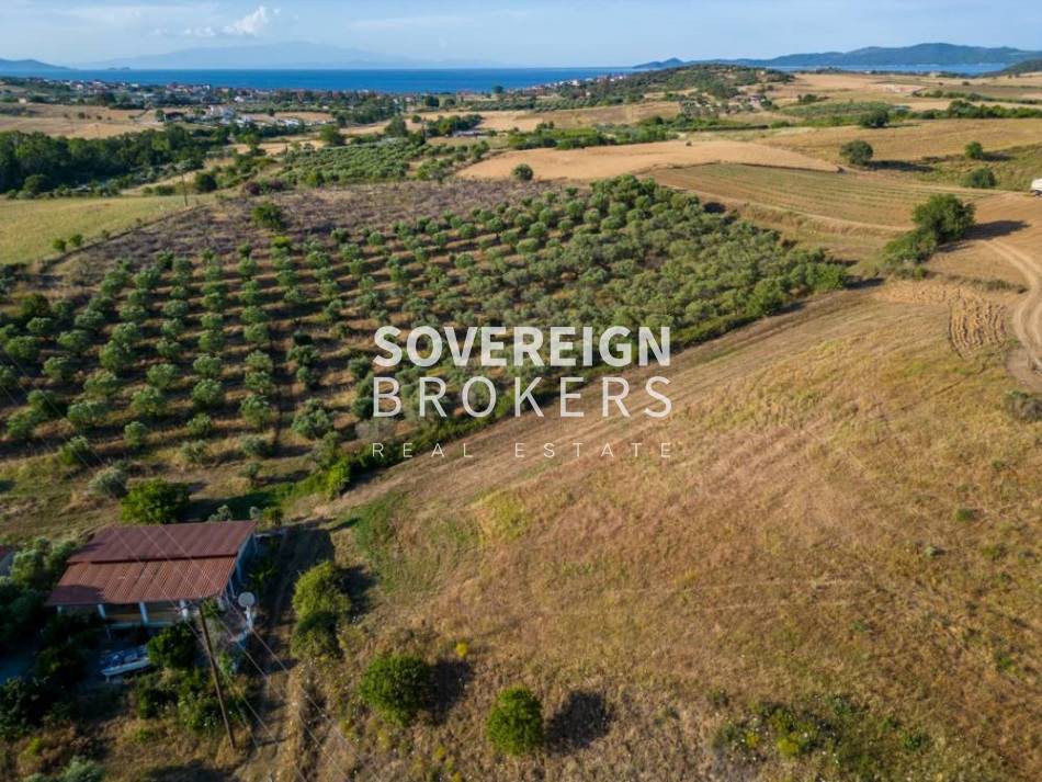 Αγροτεμάχια 12.005 τ.μ. προς πώληση, Τρυπητή Χαλκιδικής