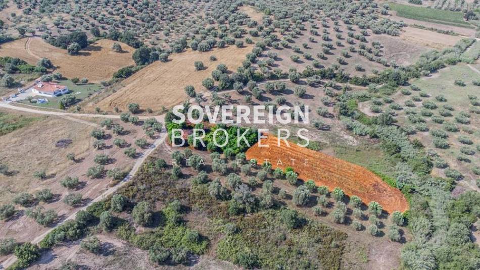Αγροτεμάχια 2.365 τ.μ. προς πώληση, Κασσάνδρεια