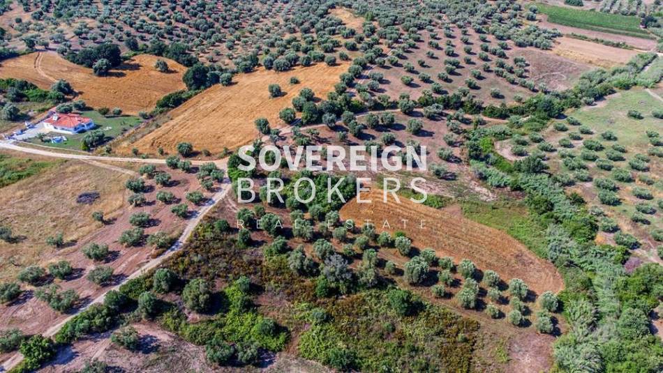 Αγροτεμάχια 2.365 τ.μ. προς πώληση, Κασσάνδρεια