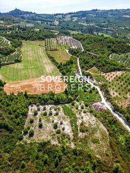 Αγροτεμάχια 4.440τ.μ. για πώληση-Κασσάνδρα » Πευκοχώρι