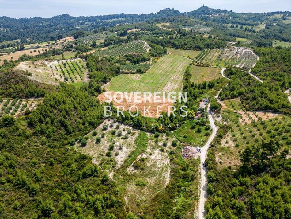 Αγροτεμάχια 4.095 τ.μ. προς πώληση, Πευκοχώρι