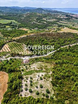 Αγροτεμάχια 4.095τ.μ. για πώληση-Κασσάνδρα » Πευκοχώρι
