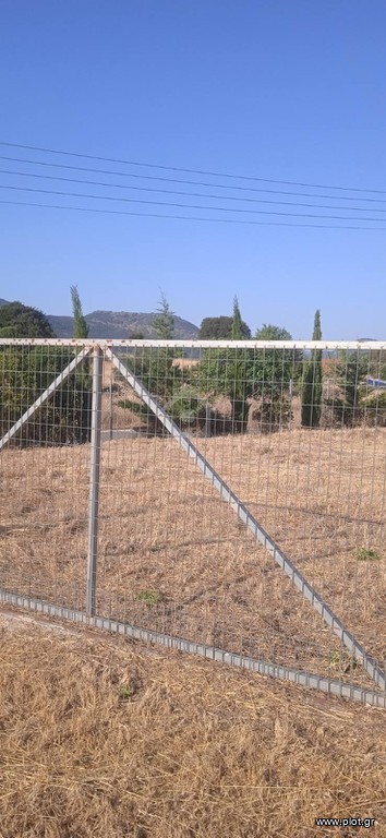 Αγροτεμάχια 3.080 τ.μ. προς πώληση, Αυλώνα Μεσσηνίας