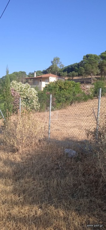 Αγροτεμάχια 3.080 τ.μ. προς πώληση, Αυλώνα Μεσσηνίας
