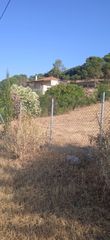 Αγροτεμάχια 3.080 τ.μ. προς πώληση, Αυλώνα Μεσσηνίας-thumb-3