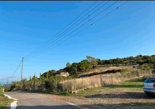 Αγροτεμάχια 3.080 τ.μ. προς πώληση, Αυλώνα Μεσσηνίας-thumb-4