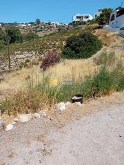 Οικόπεδο 12.500 τ.μ. για πώληση