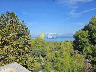 Μονοκατοικία 302 τ.μ. για πώληση