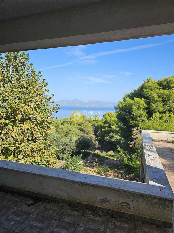 Μονοκατοικία 302 τ.μ. πρός πώληση, Φθιώτιδας, Μαλεσίνα