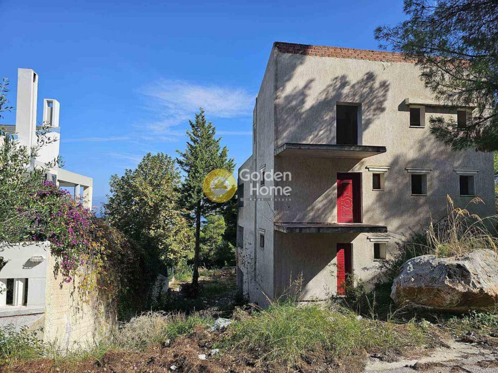 Μονοκατοικία 302 τ.μ. πρός πώληση, Φθιώτιδας, Μαλεσίνα