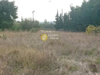 Αγροτεμάχια 4.463 τ.μ. για πώληση