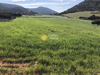 Οικόπεδο 35.500 τ.μ. για πώληση, Κυκλάδες, Πάρος-thumb-4