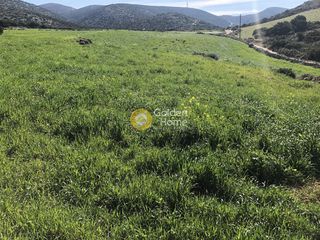 Οικόπεδο 35.500 τ.μ. για πώληση, Κυκλάδες, Πάρος-thumb-5