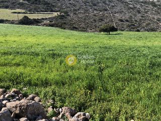 Οικόπεδο 35.500 τ.μ. για πώληση, Κυκλάδες, Πάρος-thumb-8