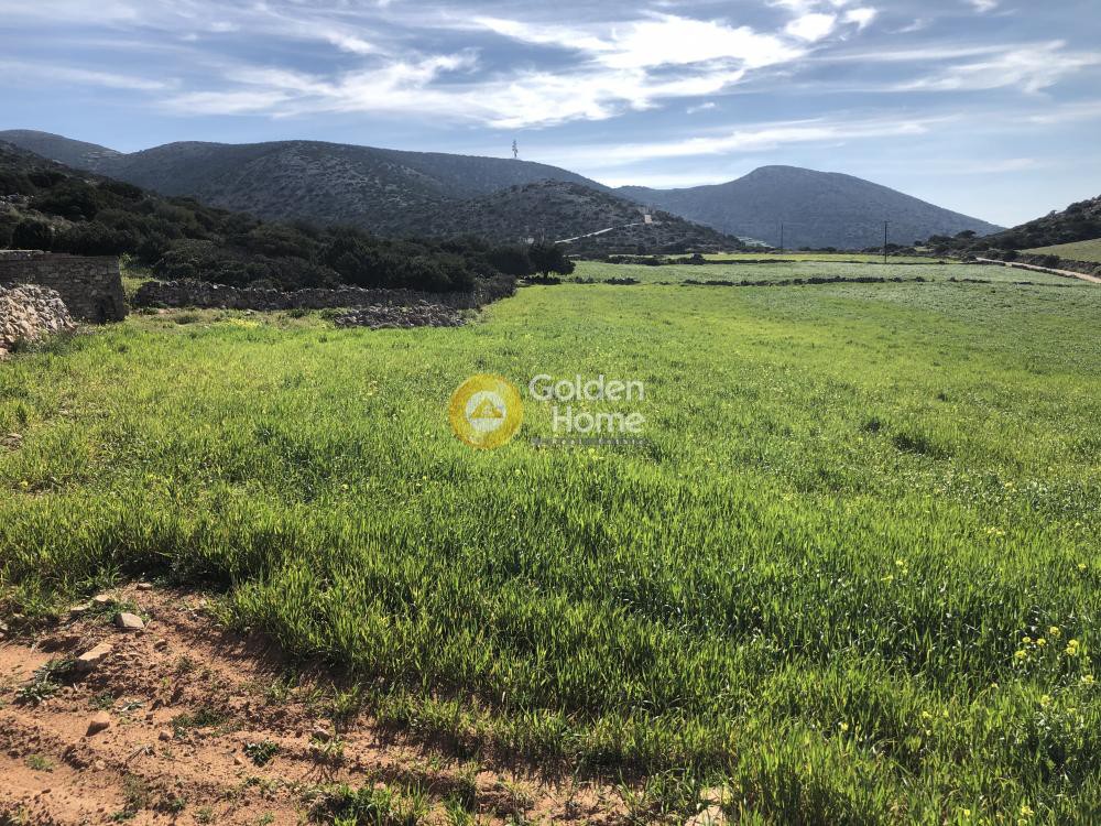 Οικόπεδο 35.500 τ.μ. πρός πώληση, Κυκλάδες, Πάρος