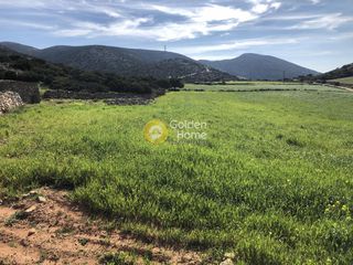 Οικόπεδο 35.500 τ.μ. για πώληση, Κυκλάδες, Πάρος-thumb-1