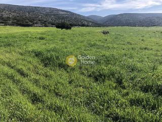 Οικόπεδο 35.500 τ.μ. για πώληση, Κυκλάδες, Πάρος-thumb-3