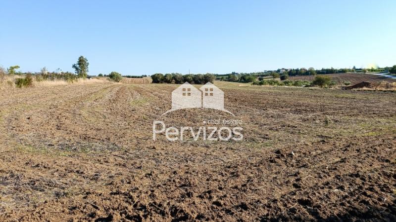 Αγροτεμάχια 6.300 τ.μ. πρός πώληση, Θεσσαλονίκη - Περιφ/Κοί Δήμοι, Επανομή
