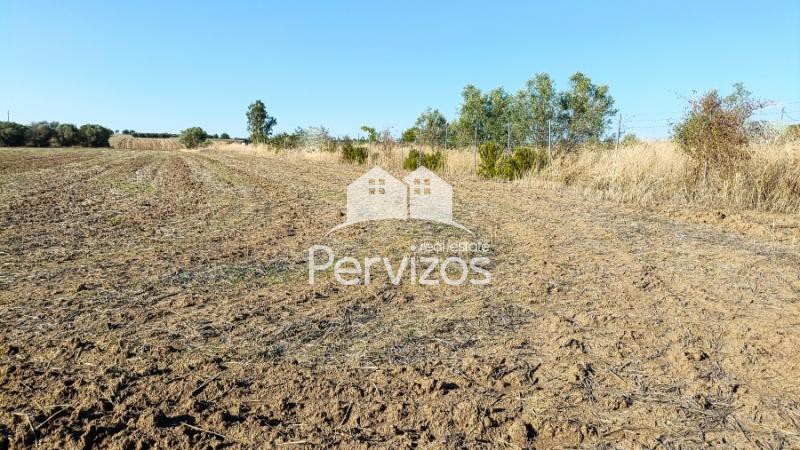 Αγροτεμάχια 6.300 τ.μ. πρός πώληση, Θεσσαλονίκη - Περιφ/Κοί Δήμοι, Επανομή