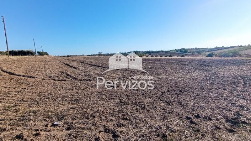 Αγροτεμάχια 6.300 τ.μ. πρός πώληση, Θεσσαλονίκη - Περιφ/Κοί Δήμοι, Επανομή